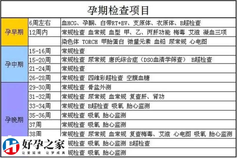 试管婴儿怀孕后需要做哪些常规产检项目和排畸检查？
