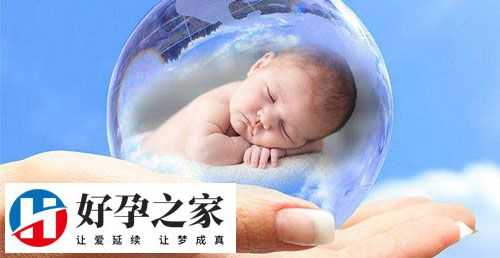 什么是第四代试管婴儿(GVT)