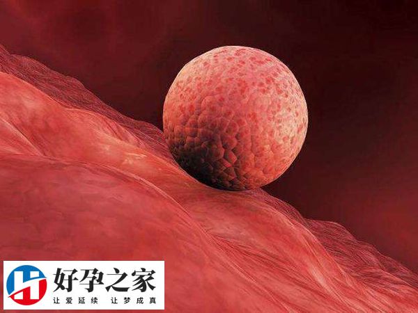 试管三代冻胚移植准备时间