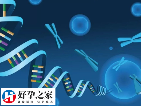 pgd筛查最短多长时间