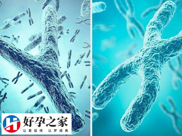 做三代试管胚胎筛查准确率多少