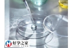 养囊成功移植是不是一定会成功